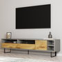 Hanah Home Luga Soporte de TV Gris y Roble